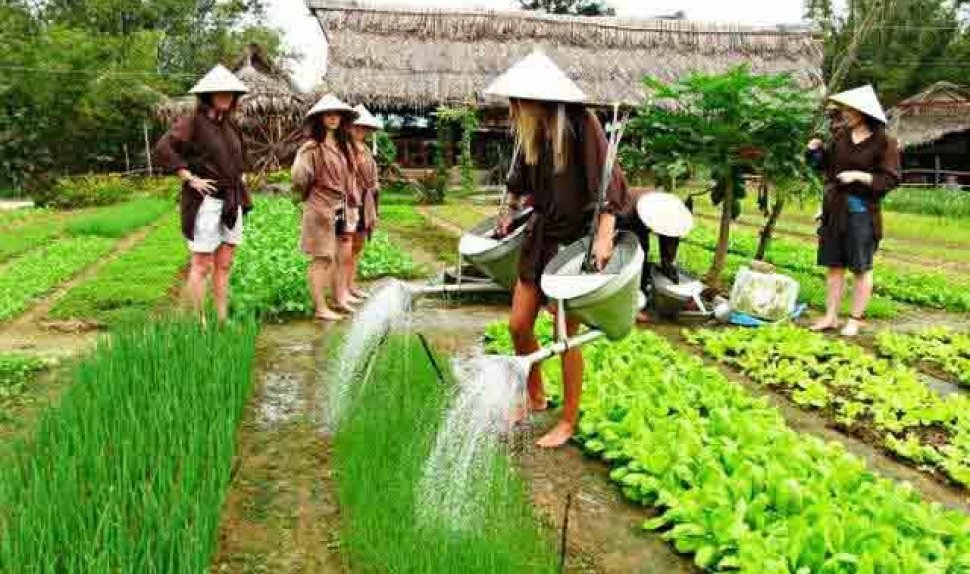 Half  Day Tour Tra Que Vegetable Village