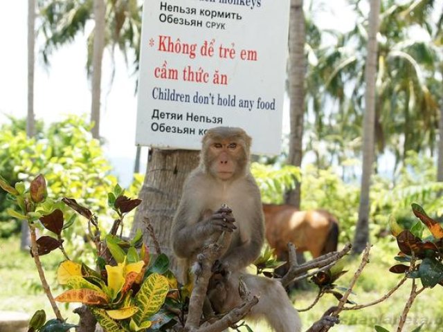 Ganh Nhay 1-Day Tour From Nha Trang