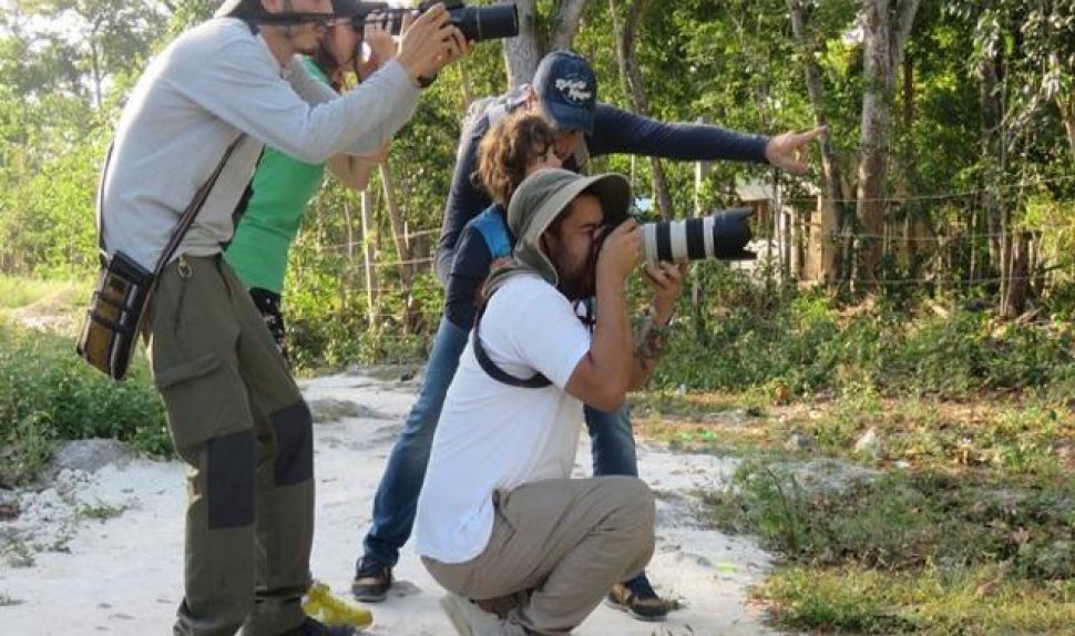 Indochina Bird Watching