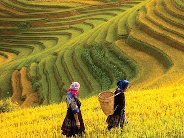 Vietnam Discovery –  Ladies’ Tour