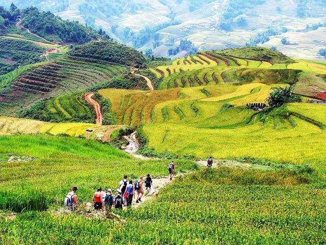 Vietnam in Depth