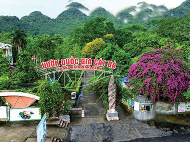 Cat Ba Beach Relax