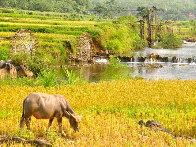 Pu Luong Discovery Package 3 Days 2 Nights