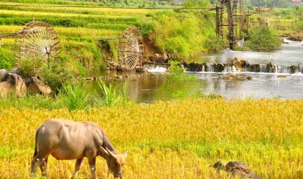 Pu Luong Discovery Package 3 Days 2 Nights