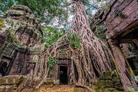 Combination Of Siem Reap And Phnom Penh