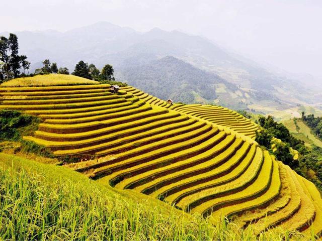 Vietnam Fitness Adventure