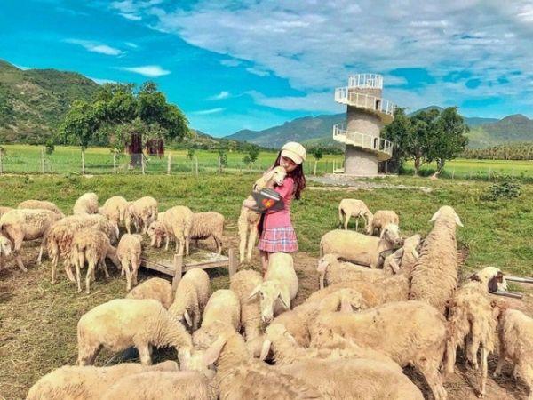 Full day Rai Cave - Vinh Hy bay - Vineyard - Sheep farm from Nha Trang