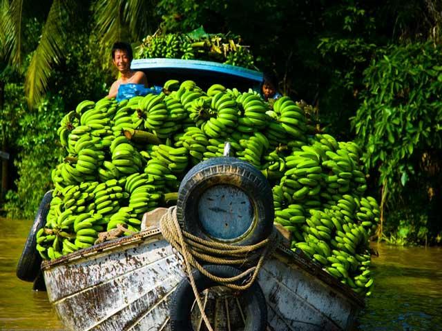 Deep in Southern Vietnam