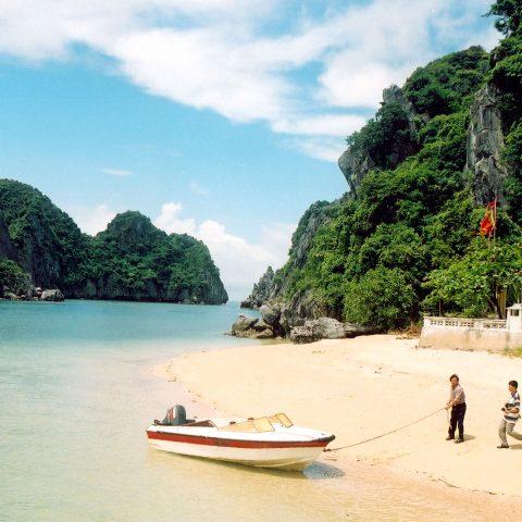 Discover the beauty of Halong Bay (overnight cruise)