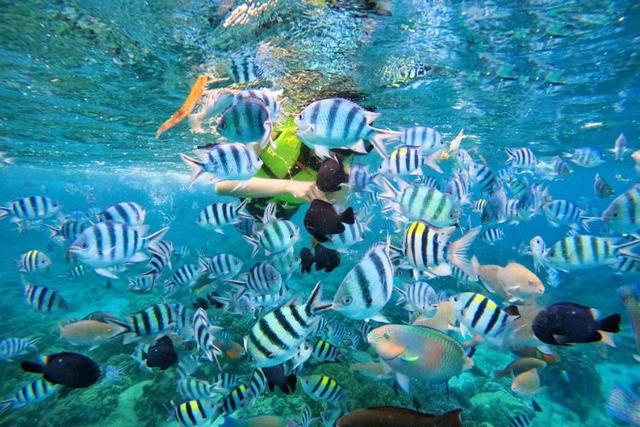 Nha Trang 3 Island Hopping Tour
