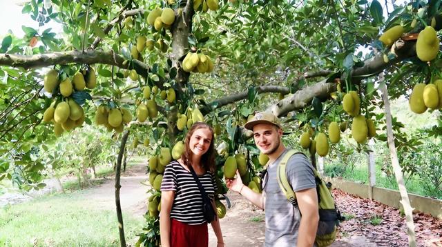 Siem Reap - Hanoi - Halong - Ho Chi Minh 9 Days