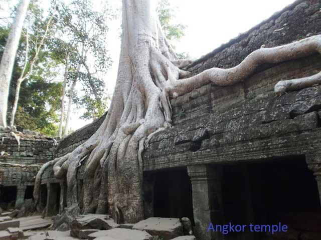 The Beautiful Angkor Temples